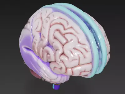 Cyber Organs Bundle 6 Biomechanical Sci-Fi Low-poly 3D model