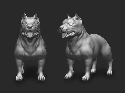 Pitbull Dog - Topology + UV Map