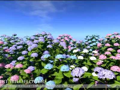 Low Polygon Hydrangeas for Games and Architectural Vis Low-poly 3D model