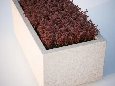 Concrete flowerpot with bushes 3D model
