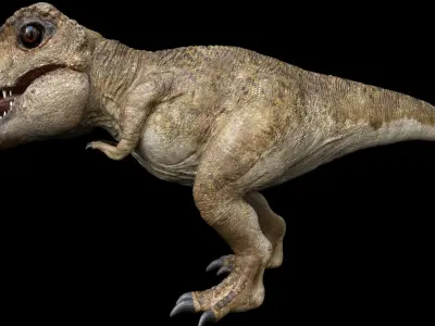  tyrannosaurusRex baby Rigged 3D 