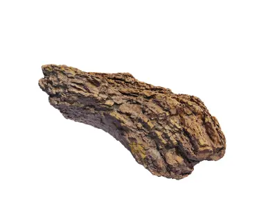 Petrified Wood 1 Low-poly 3D model