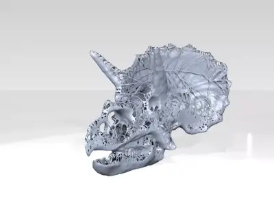 Triceratops Skull Dust Voronoi 3D model