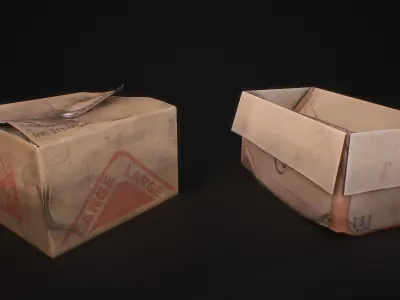 Old Cardboard Pack Low-poly 3D model