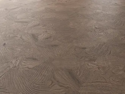 Parquet Oak Missisippi Wild Wood set 7 3D model
