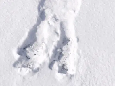 Trace of a human body in the snow 3D model