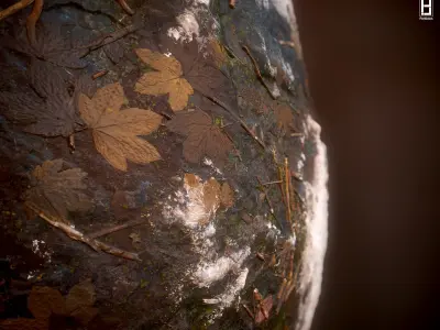 4k PBR Texture Of Snowy Moss Texture