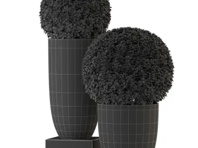 Plants collection 327 3D model