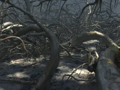 Old Forest Pack 30 3D model