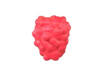Raspberry V1 001 Free low-poly 3D model