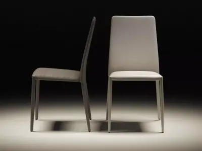 Eral modern dining chair 3D model