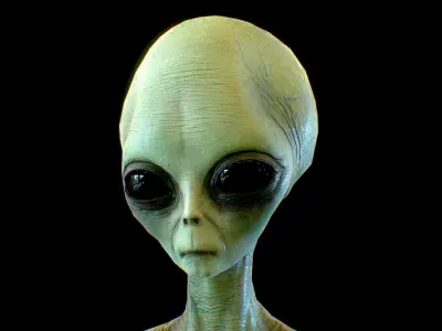 Realistic Alien 2 Gray Low-poly 3D model