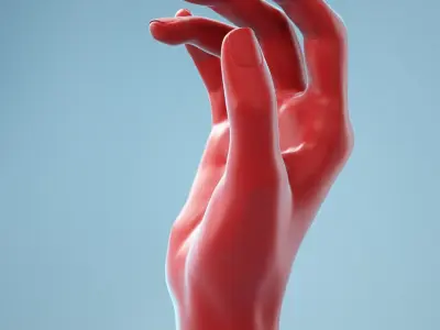  13 Female Hands Collection 