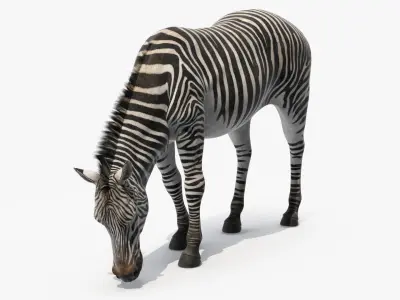  African Animals Rigged Collection 12 