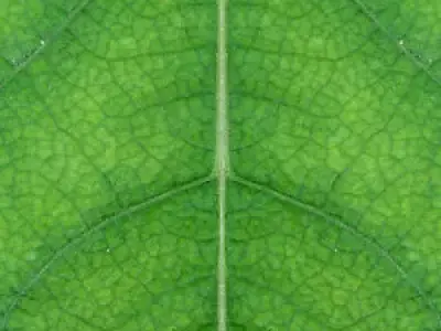 Europe Villa 3D Model 3ds Max and VRay Architectural house Low-poly 3D model