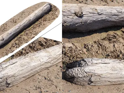 Log on the sand  3D model