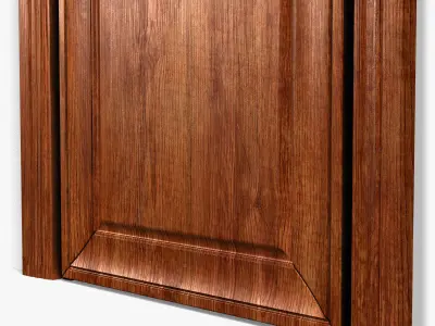 Door0049 wooden door on wall 3D model