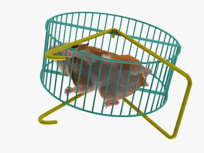  Small Hamster Runs in Wheel Animated Fur Rigged For Blender 