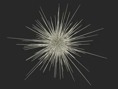  Sea Creatures Collection 