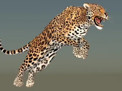  Leopard Animated 3D Model v1-3 