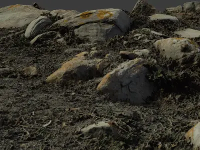 rocklapenground 3D model