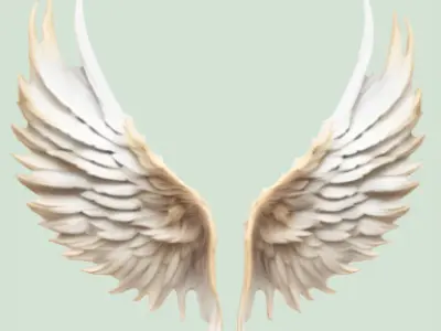 angles paired wings Low-poly 3D model