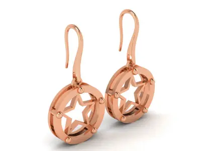 Women Earrings 3D print model