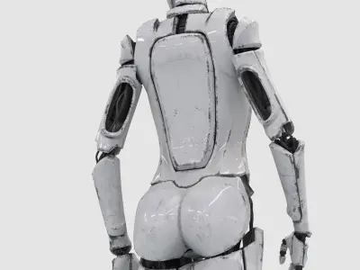  Female Cyborg Robot Rig 