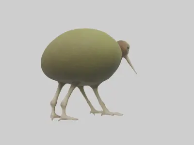 Kiwi walking on forest floor model Low-poly 3D model