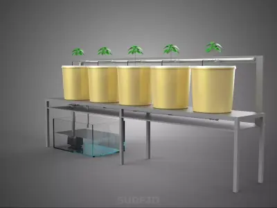 CULTIVATION FRUITS VEGETABLES PLANT HYDROPONIC FARMING GARDENING 3D model