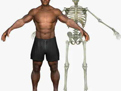 Muscular African American Male With Full Body Skeleton 3D model