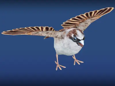 Sparrow Rig Low-poly 3D model