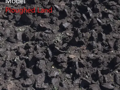 Ultra realistic Poughed Land Scan 3D model