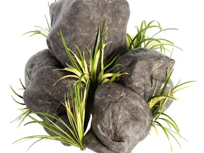 Rock with Grass 3D model