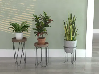Plant Stands with Three Houseplants 3D model