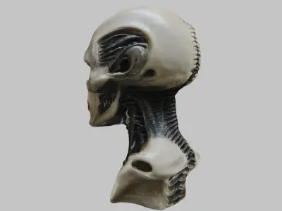 Portrait of a man HR Giger Style Human Head Bust 2 Low-poly 3D model