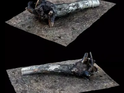 stump 002 Low-poly 3D model