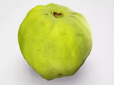 Guava - Photorealistic Scan Low-poly 3D model