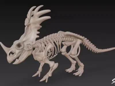 Styracosaurus fossil Low-poly 3D model