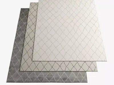 Restoration Hardware Rugs 110 3D model
