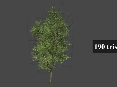 Birch forest pack for Unity Low-poly 3D model