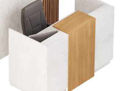 Contemporary Reception 08 3D model