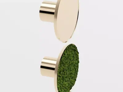 Wall lamp Lighting moss 3D model