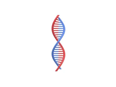 DNA Molecule v1 001 Low-poly 3D model