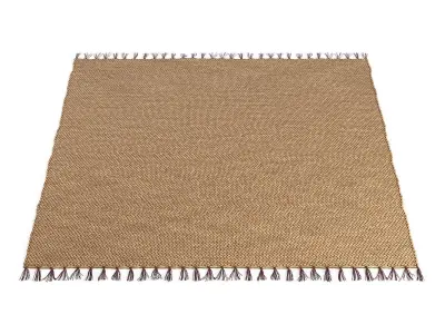 Willow Water Hyacinth Rug 215x150cm RendezVousDeco 3D model