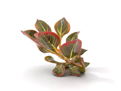 Vibrant Tropical Foliage model pack Low-poly 3D model
