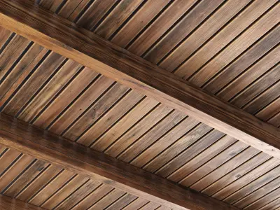 Branches rectangular ceiling N1 3D model