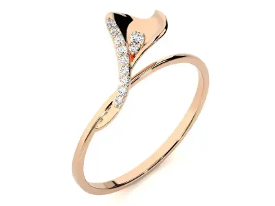 Ring - 11 3D print model