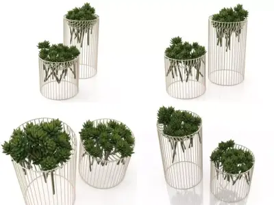 Succulents four metal vases 3D model