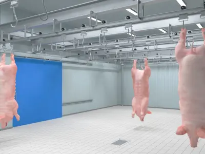  Pork Carcass Cold Storage Room with Hook Rail 